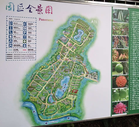 興隆熱帶植物園導游圖