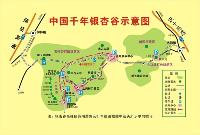 中國(guó)千年銀杏谷導(dǎo)游圖