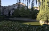 中華民族園