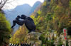 神農(nóng)架