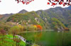 翠華山