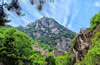 翠華山