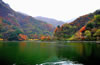 翠華山