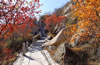 北京鳳凰嶺自然風(fēng)
