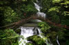 黑山谷景區(qū)