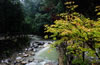 黑山谷景區(qū)