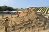沙雕海洋樂園