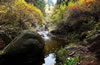 蘆芽山景區(qū)