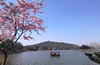 無錫市黿頭渚景區(qū)