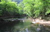 五泄風(fēng)景區(qū)